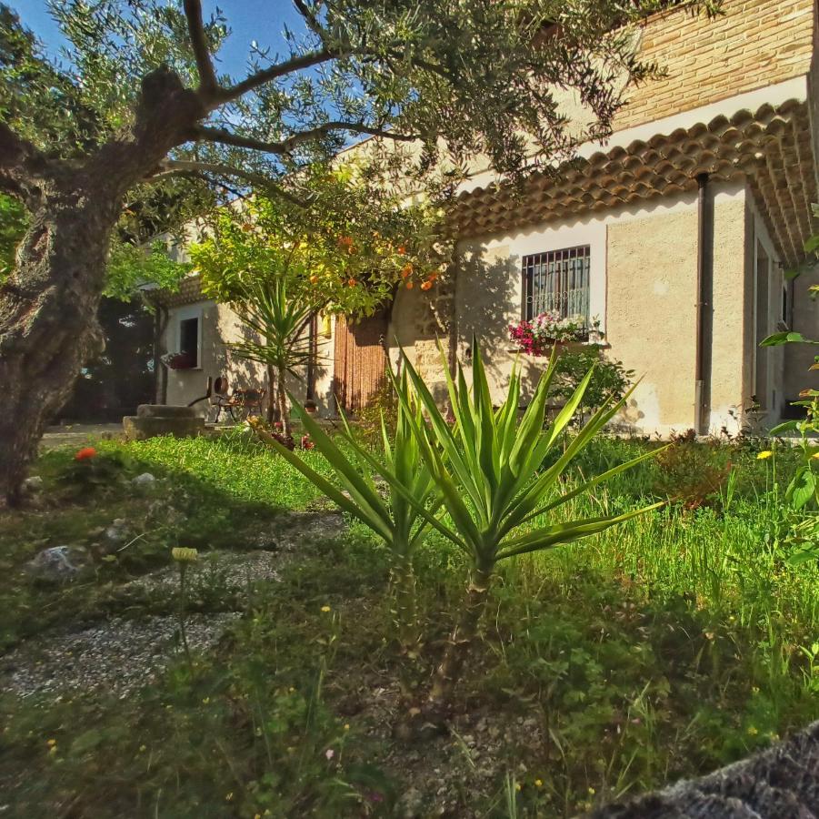 Castiglione a Casauria B&B La Masseria Del '700 מראה חיצוני תמונה
